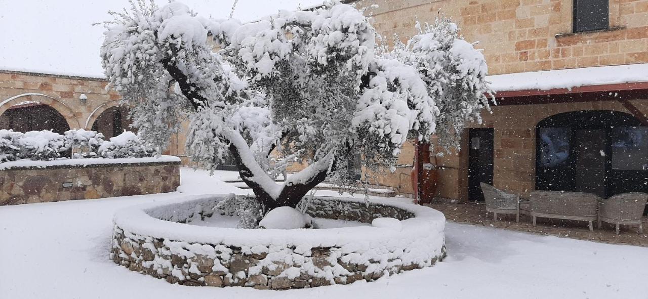 Masseria San Nicola B&B Torre Santa Susanna Exterior photo