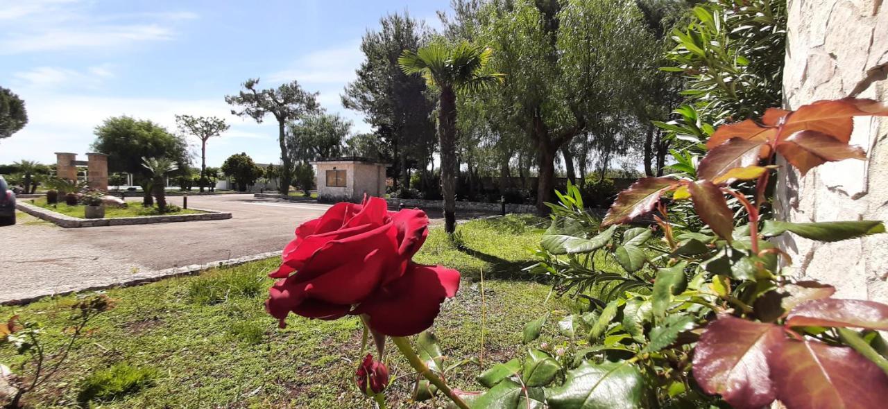 Masseria San Nicola B&B Torre Santa Susanna Exterior photo